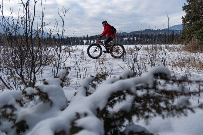 1-Hour Guided Group Fat Bike Tour - Key Points