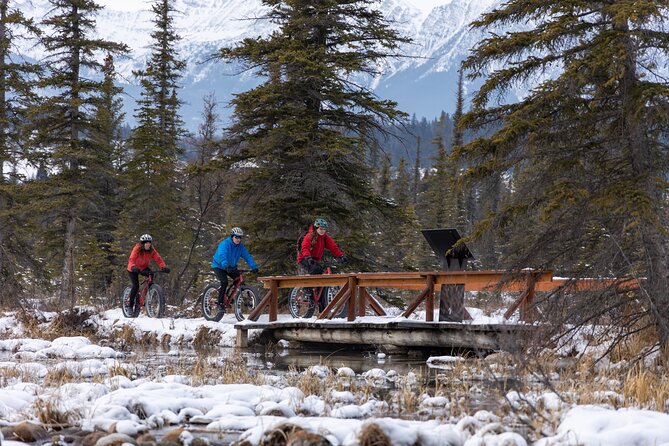 1-Hour Guided Group Fat Bike Tour - Tour Overview