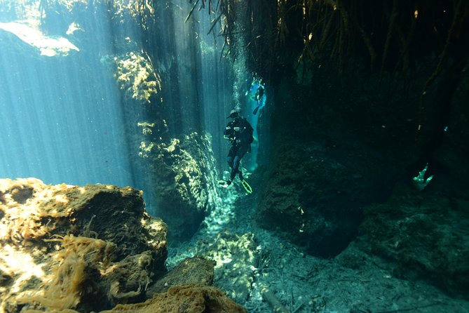 2-Tank Cenote Certified Dive in Tulum - Booking Process Details