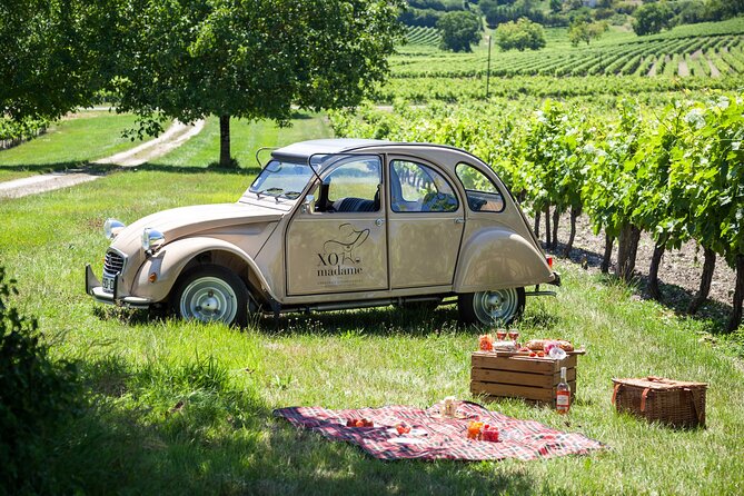 2CV Ride in the Cognac Vineyards - Tour Experience Highlights