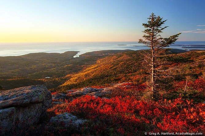 3 Hour Private Tour: Explore All the Top Spots of Acadia! - Tour Highlights