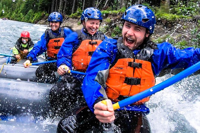 4-hour Guided White Water Rafting Trip  - Revelstoke - Trip Overview