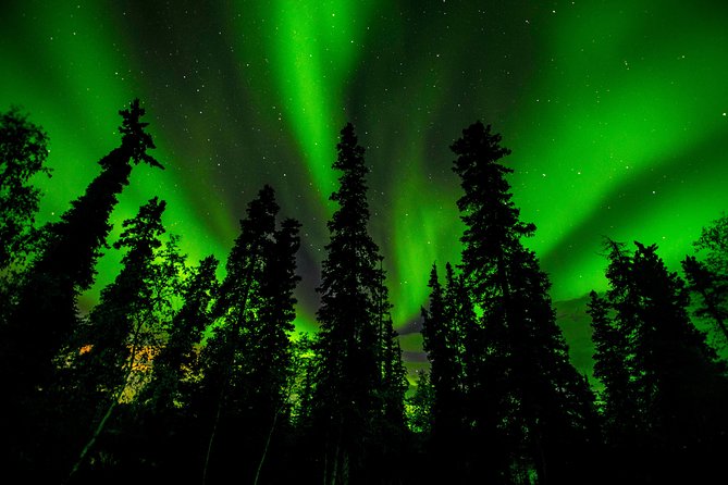 4- to 6-Hour Northern Lights Tour From Yellowknife - Tour Highlights