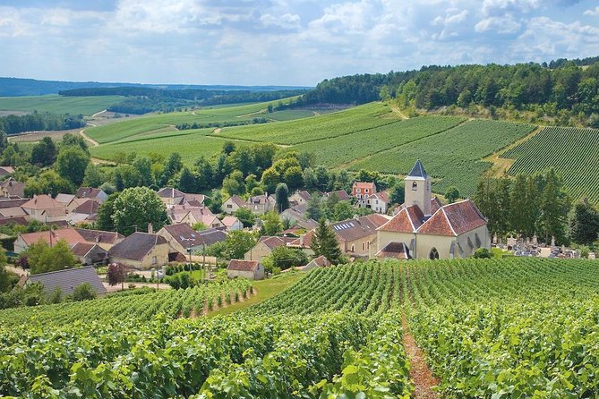 A Full-Day Private Champagne Tour, With Paris Transfers - Itinerary Details