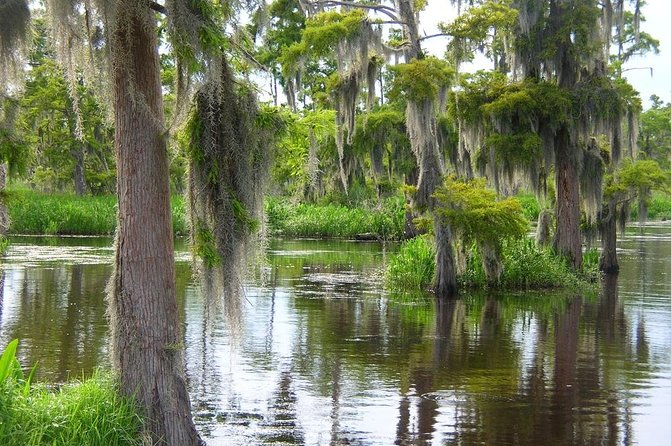 Airboat Swamp and Destrehan Plantation Tour From New Orleans - Booking and Cancellation Policy