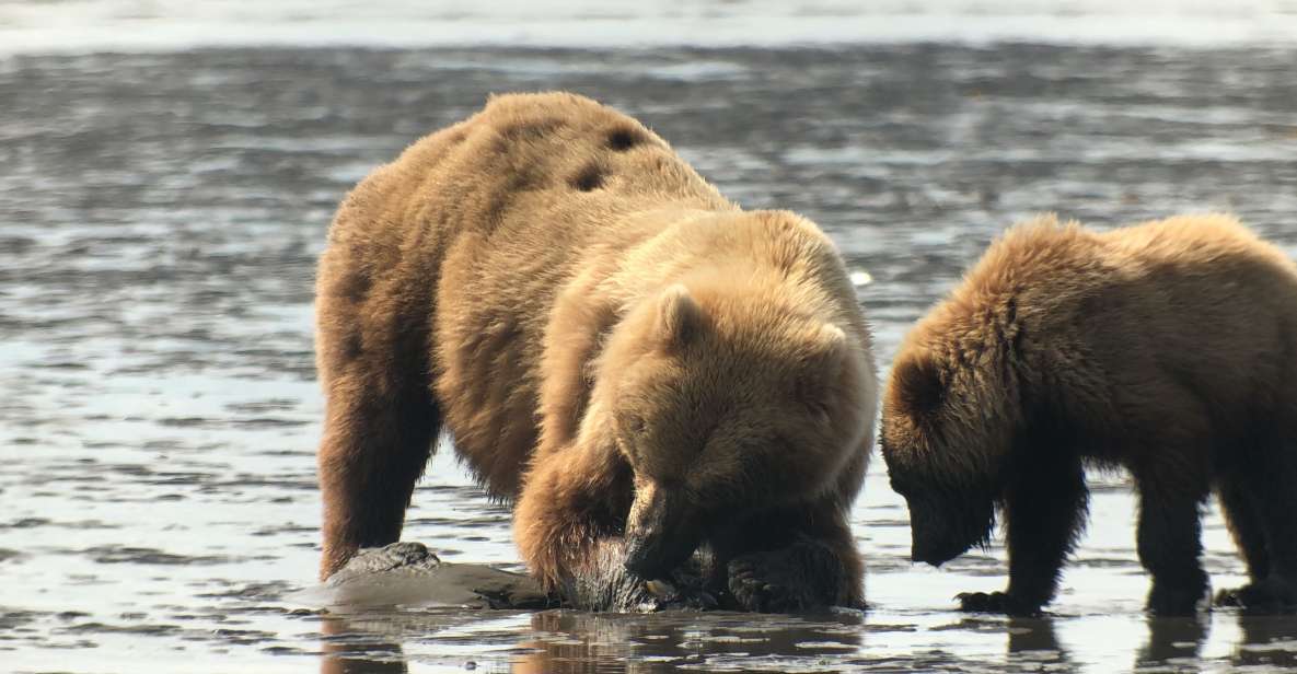 Alaska 9 Day Ocean Wildlife to Interior Wilderness Adventure - Tour Duration and Logistics