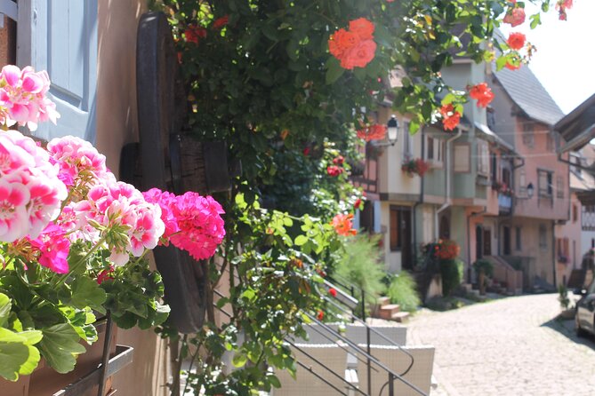 Alsace Wine Route Small Group Half-Day Tour With Tasting From Strasbourg