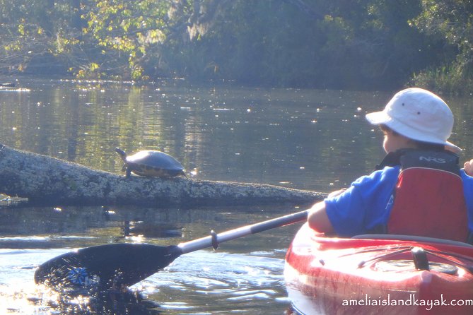 Amelia Island Kayaking Tour  – Jacksonville