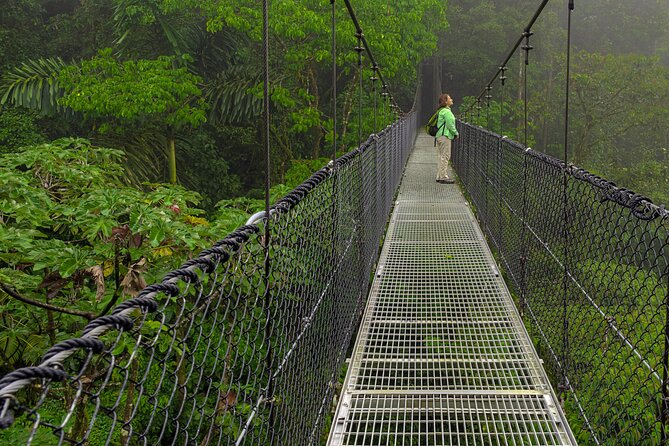 Arenal Volcano, Hanging Bridge, Waterfall Tour From La Fortuna - Tour Inclusions