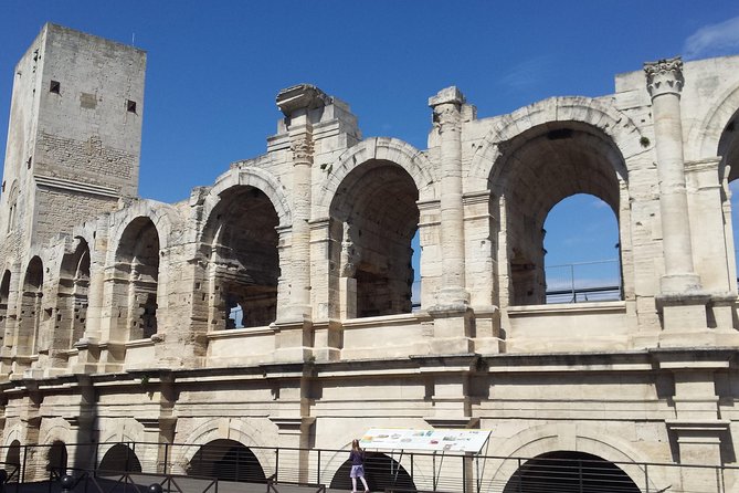 Arles and Camargue Small-Group Half-Day Tour From Avignon - Tour Details