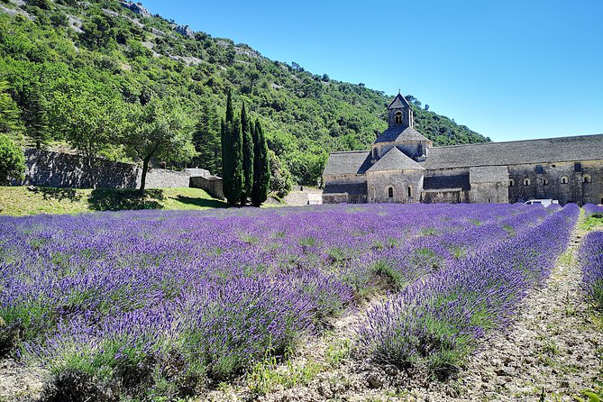 Arles Small Groupe Tour : Private Day Trip to Luberon Villages - Itinerary Highlights