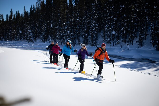 Banff National Park Snowshoeing Adventure Small Group Guided Tour - Tour Overview