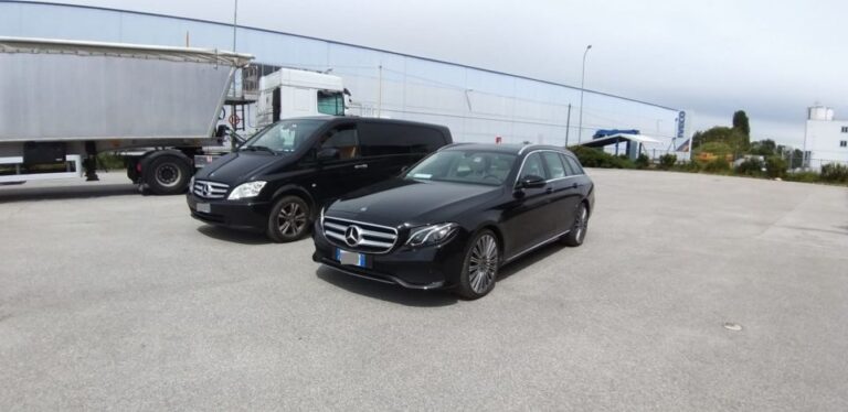 Basel Airport (BSL): Private Transfer to Basel