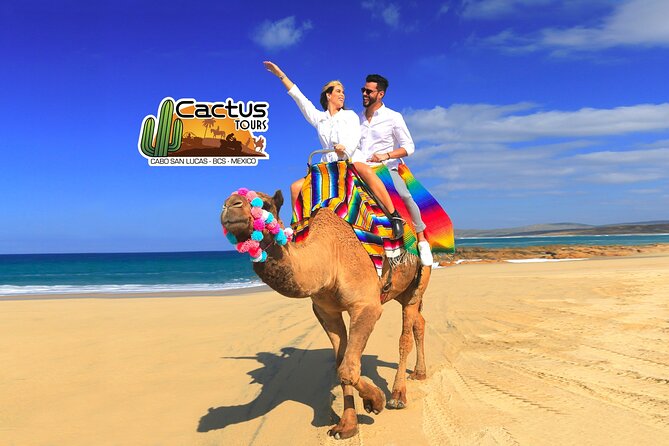 Beach Camel Ride & Encounter in Cabo by Cactus Tours Park