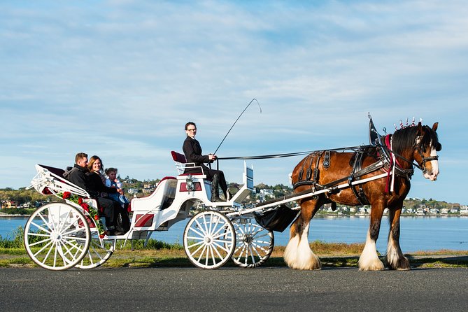Beacon Hill Park Horse-Drawn Carriage Tour of Victoria - Location and Overview