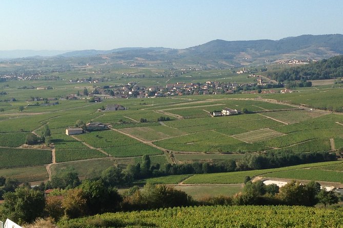 Beaujolais Crus Wines & Castles (2:00 Pm - 6:30 Pm) - Small Group Tour From Lyon - Tour Highlights