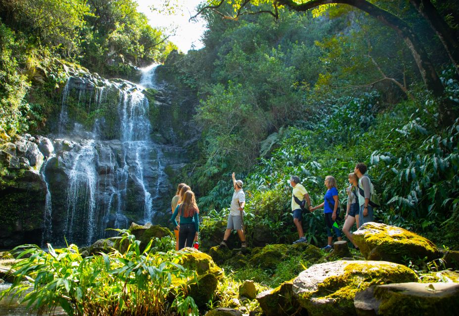 Big Island: Full Day Adventure Tour of the Kohala Waterfalls - Tour Duration and Start Times