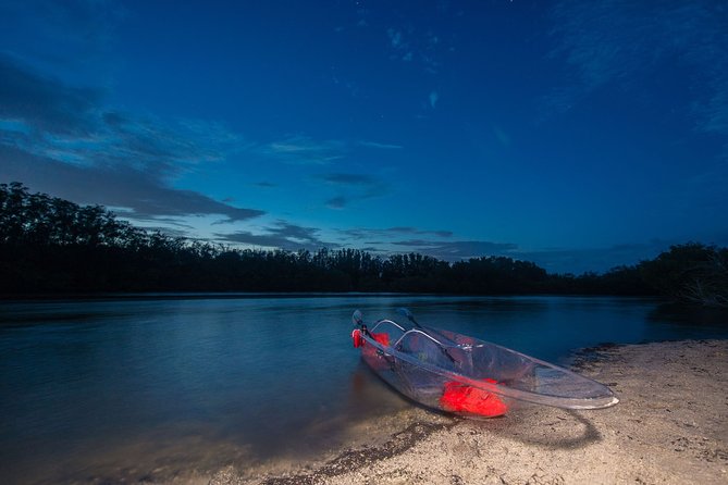 Bioluminescent Clear Kayak Tours in Titusville - Tour Highlights