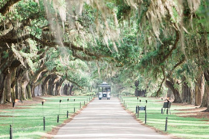 Boone Hall Plantation All-Access Admission Ticket - Historical Significance and Overview