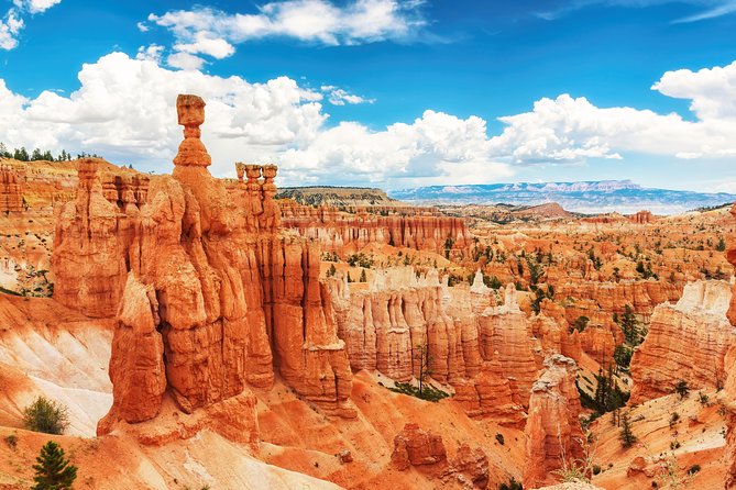 Bryce Canyon and Zion National Parks Small Group Tour - Tour Pricing and Variations