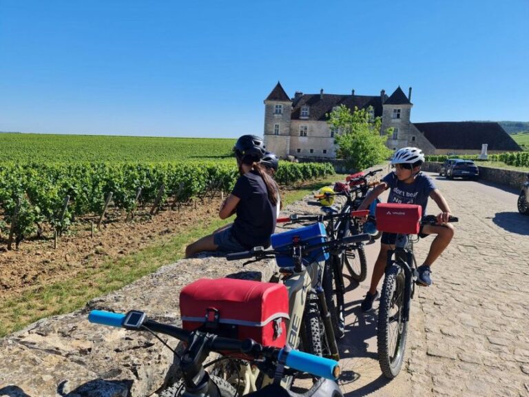 Burgundy: Fantastic 2-Day Cycling Tour With Wine Tasting