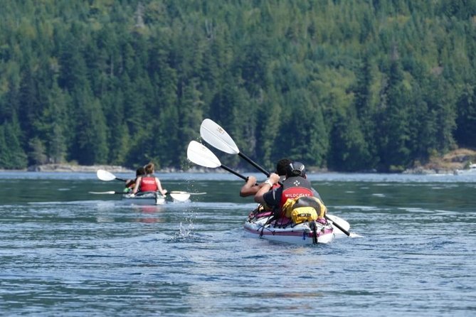 Campbell River Full Day Whale Watching and Kayaking Tour  - Vancouver Island - Booking Information