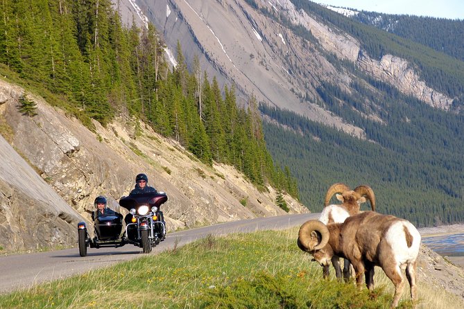 Canadian Rockies Tour by Chauffeured Sidecar From Jasper