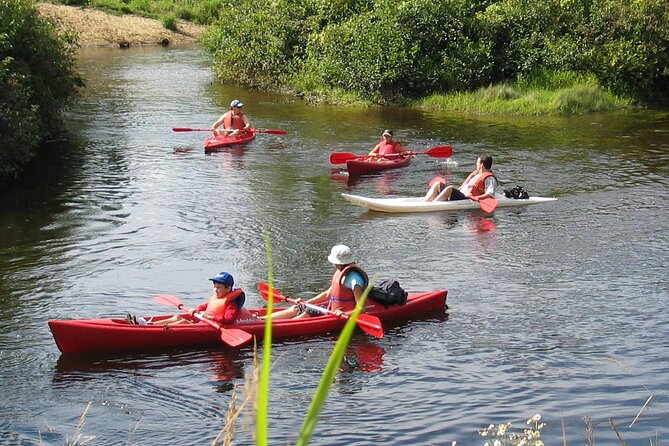 Canoe, Kayak, Paddleboard Rouge River - Self Guided Descent - Tour Details