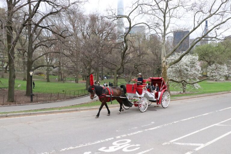 Carriage Ride To/From Tavern on the Green (Up to 4 Adults)