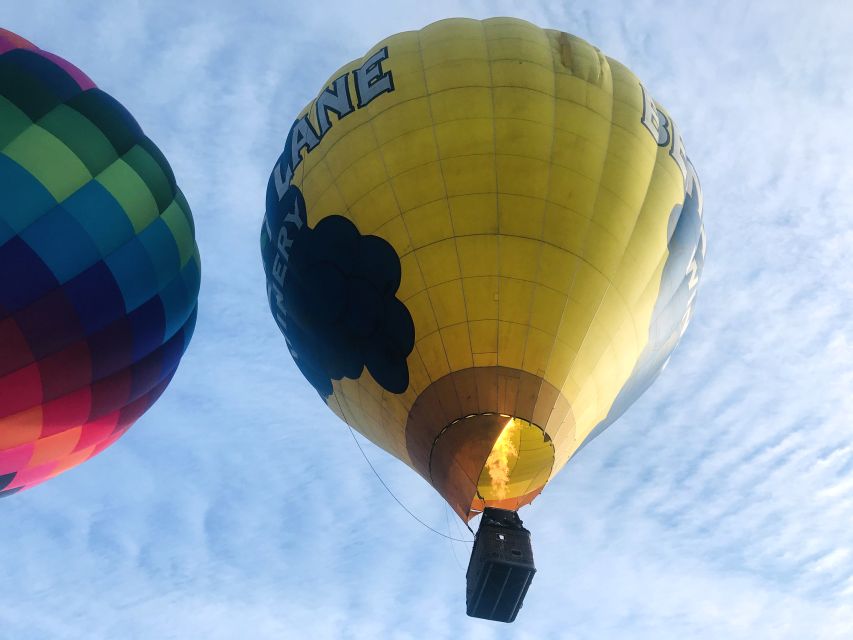 Carson City: Hot Air Balloon Flight - Booking Details for Hot Air Balloon Flight