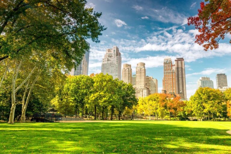 Central Park Private Walking Tour With Transfers