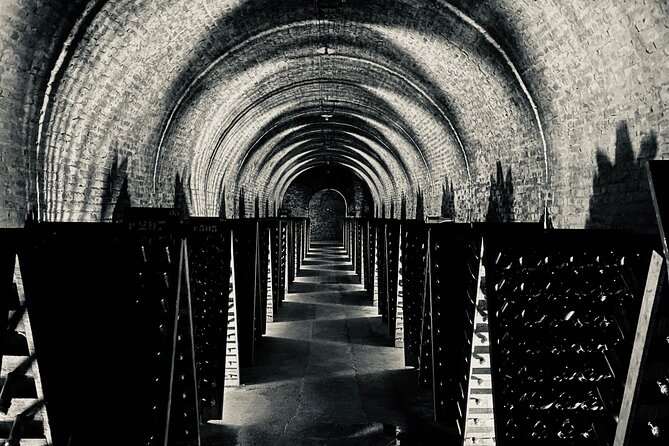 Champagne Cellars & Vineyards Tour From Reims Full Day