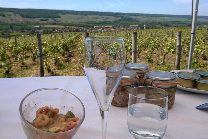 Champagne Moet and Chandon Private Tour With Tastings From Reims or Epernay - Tour Pricing and Booking Details