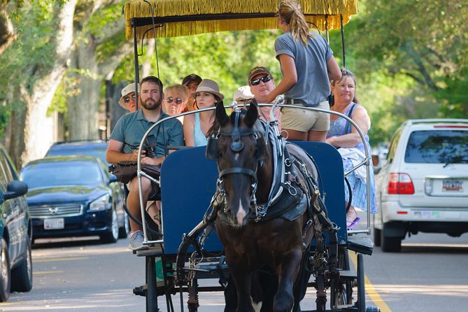 Charleston Horse & Carriage Historic Sightseeing Tour - Historical Highlights