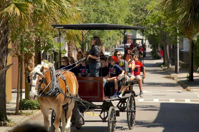 Charlestons Historic Residential Horse and Carriage Tour