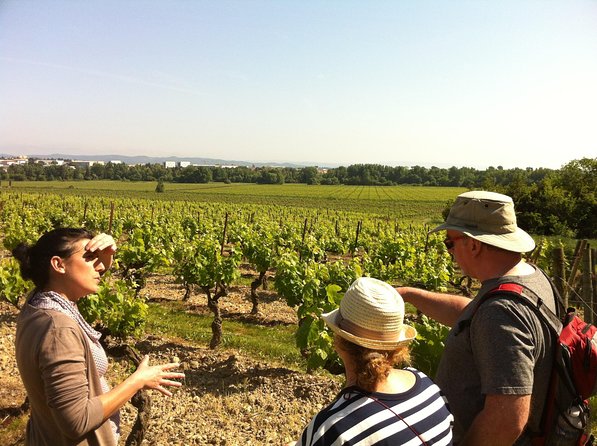 Cité De Carcassonne and Wine Tasting Private Day Tour From Toulouse