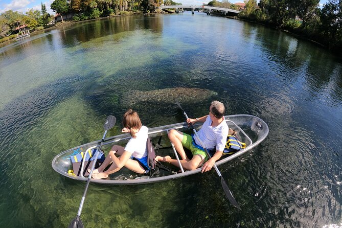 Clear Kayak Manatee Ecotour of Crystal River