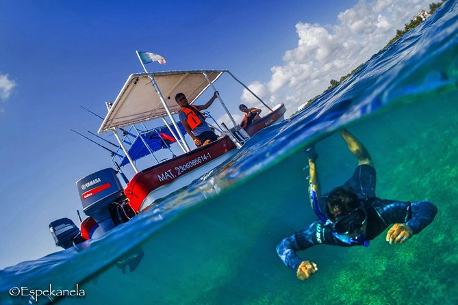 Costa Maya Shallow Reef Snorkeling Tour