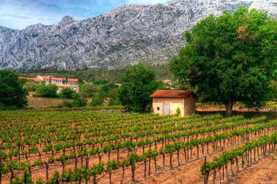 Coteaux D'aix: Ste Victoire Wine Tour & Cezanne Mill Visit - Booking Details