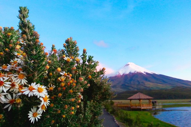 Cotopaxi Full-Day From Quito Including Entrances - Tour Pricing and Guarantee