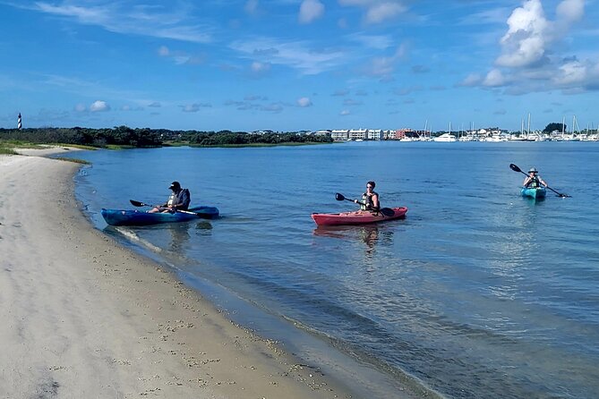Deluxe Dolphin Kayak Tour - Booking Information