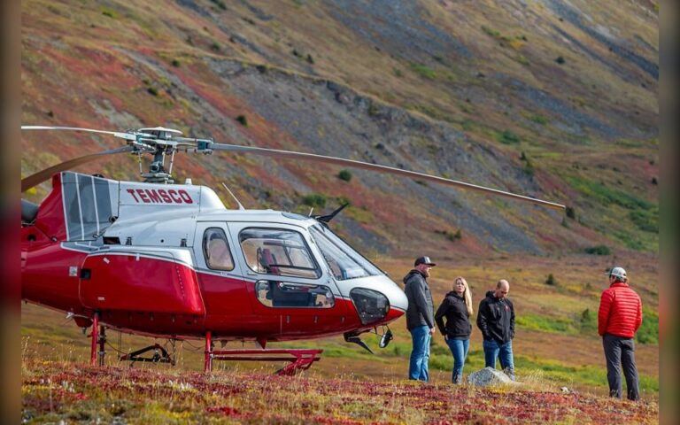 Denali National Park: Helicopter and Hike Adventure