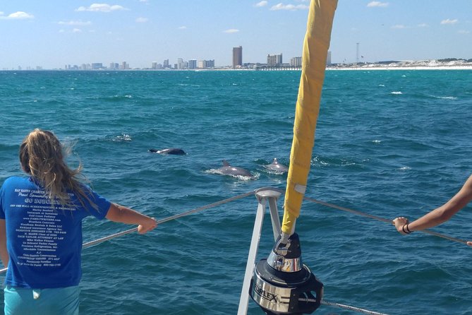 Dolphin Sightseeing Tour on the Footloose Catamaran From Panama City Beach