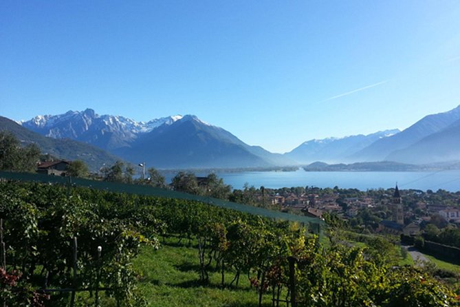 Domaso: Wine Tasting at the Winery on Como Lake
