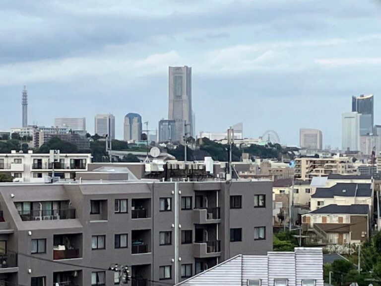 Eat Like a Local in Yokohama