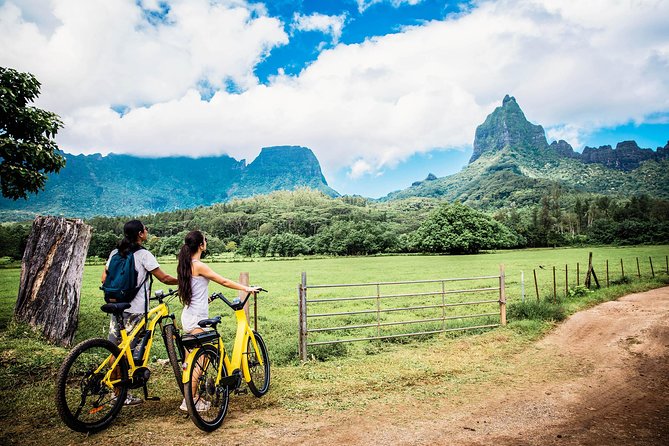 Electric Bike Rental Moorea - Pricing and Booking Details