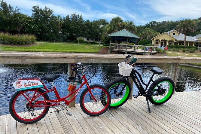 Electric Bike Tours in Amelia Island - Rental and Equipment Details