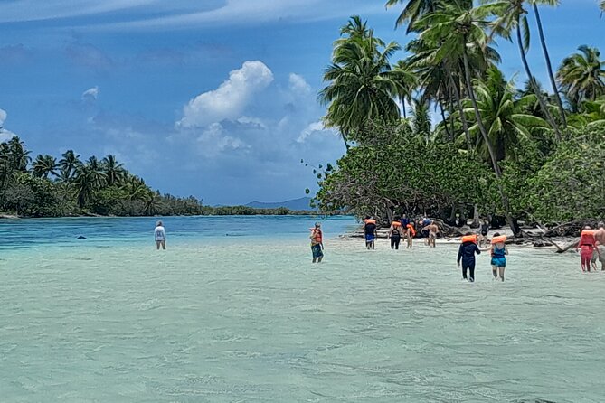 Enjoy Snorkeling With Our Multicolors Fishes in TAHAA FAMOUS CORAL GARDEN