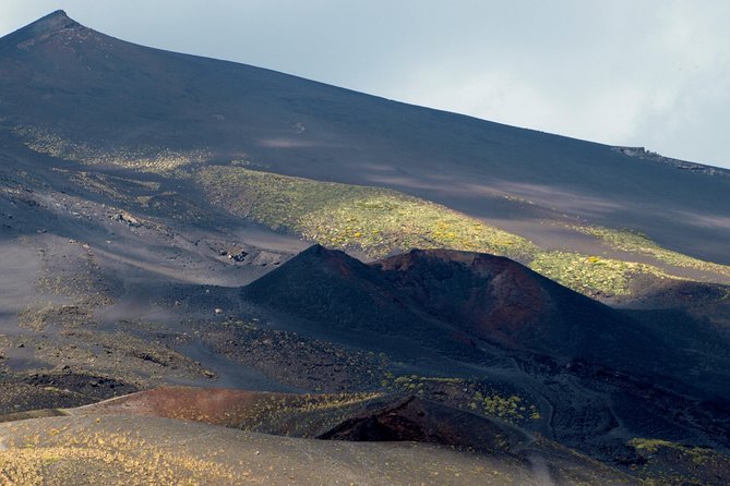 Etna Morning Trip - Tour Pricing and Booking Details