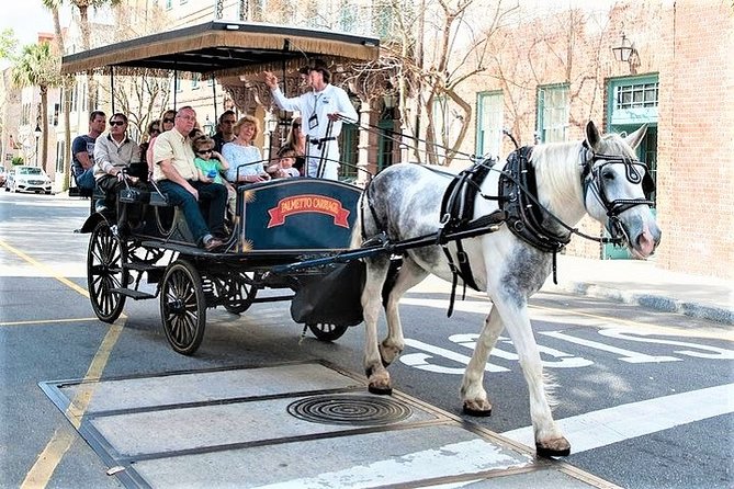 Evening Horse-Drawn Carriage Tour of Downtown Charleston - Customer Feedback